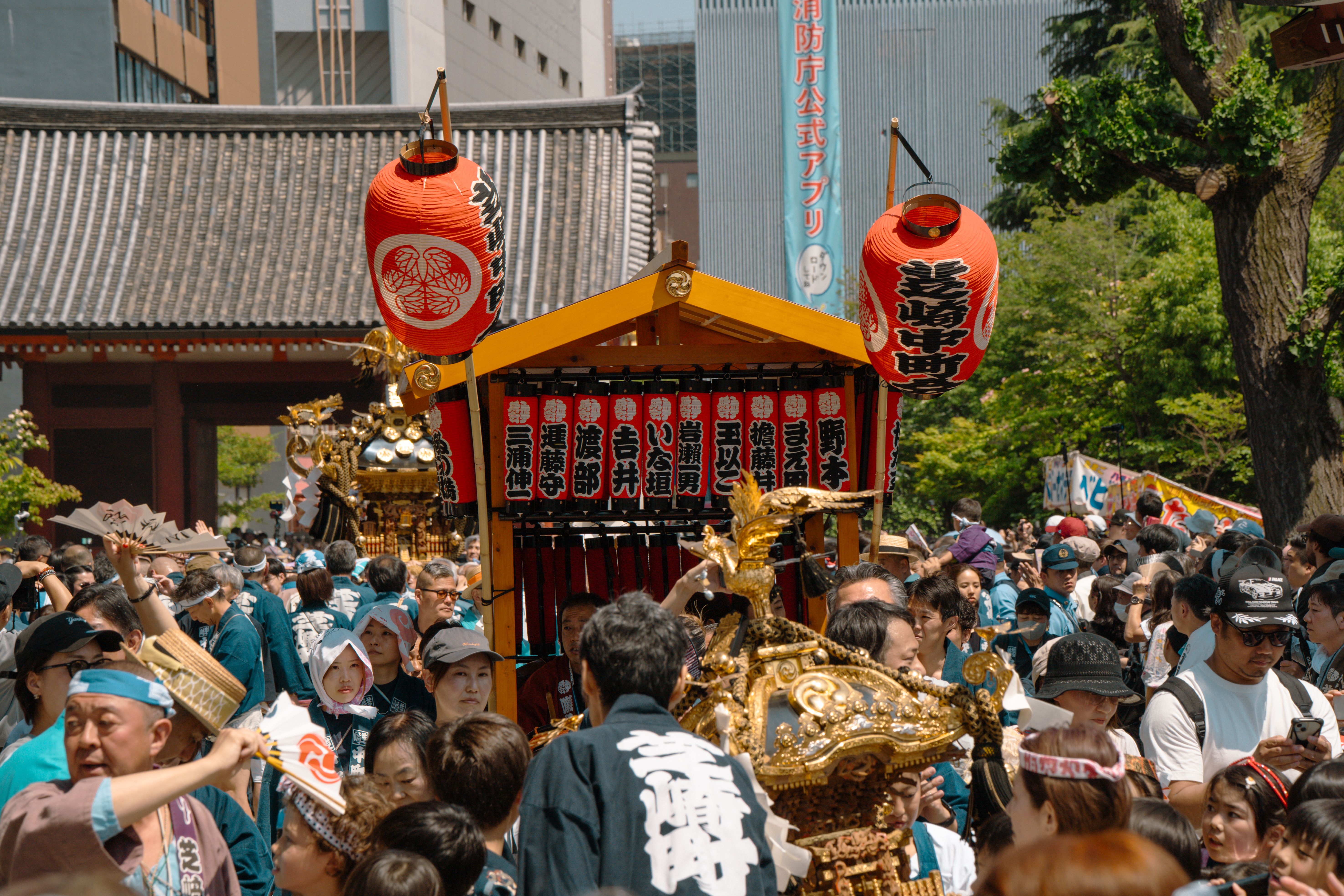 Crowds carrying a golden mikoshi shrine at a summer festival in Tokyo