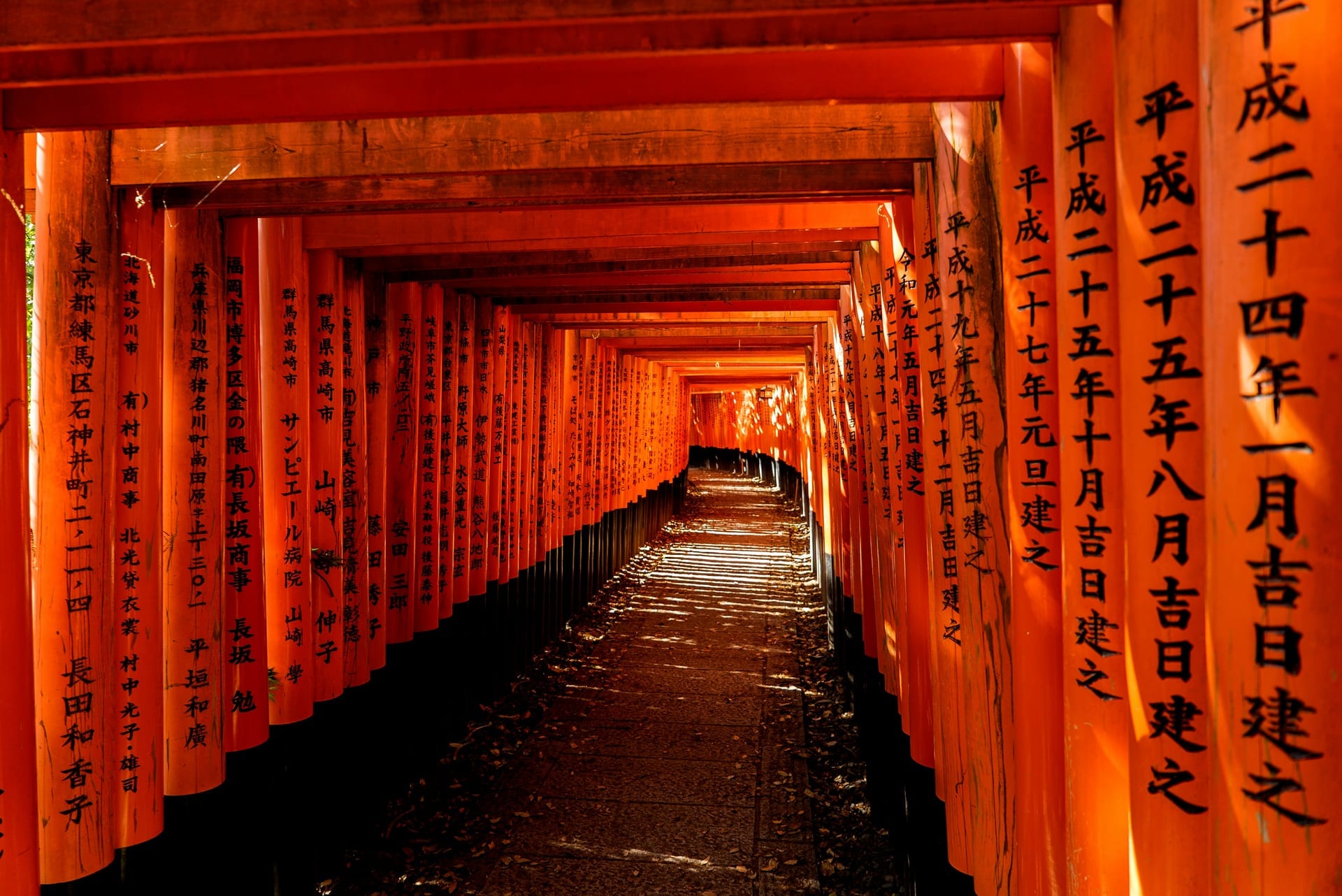 Rows of red torii gates at Fushimi Inari Shrine, Kyoto