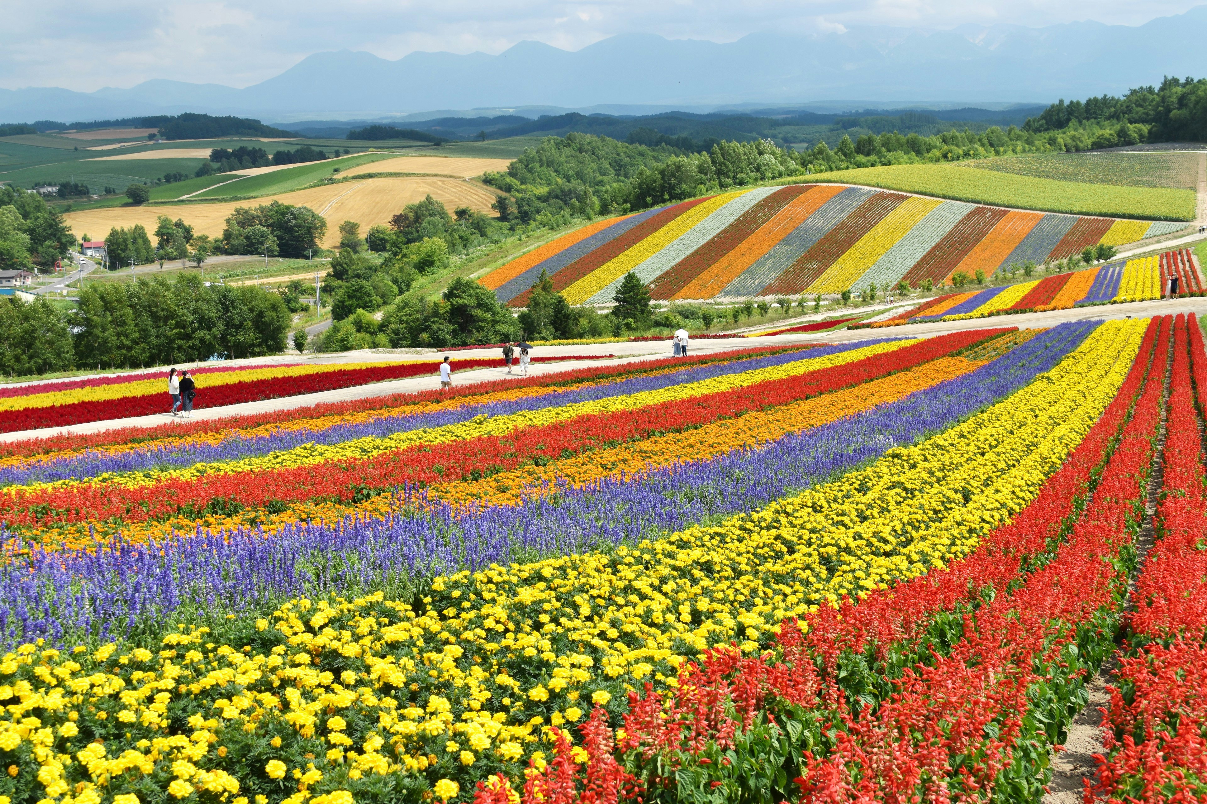 Open countryside scenery, the visual theme of this warm-season Hokkaido itinerary