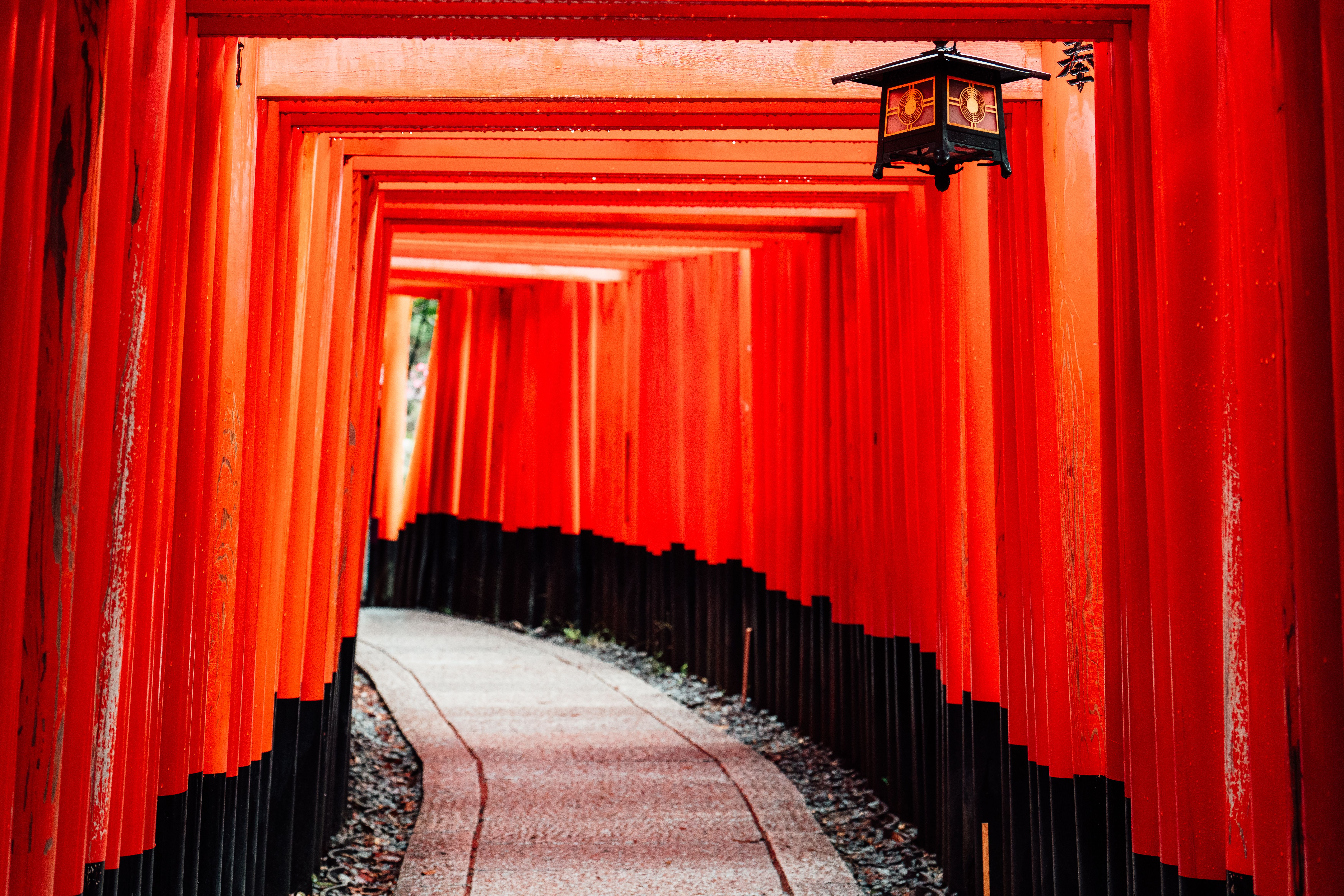 Rows of red torii gates at Fushimi Inari Shrine in Kyoto